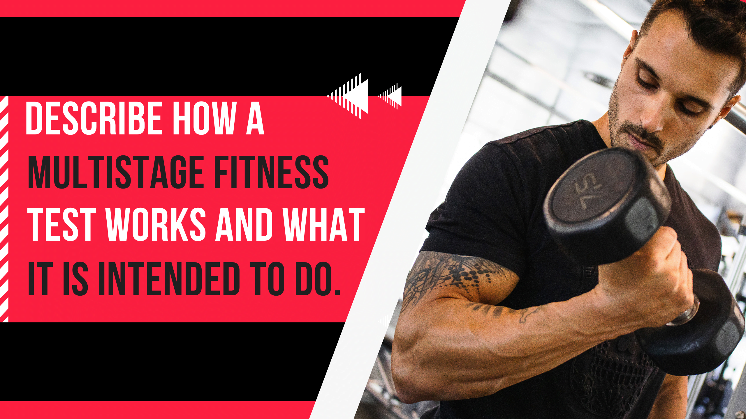 Describe How a Multistage Fitness Test Works and What It Is Intended to Do